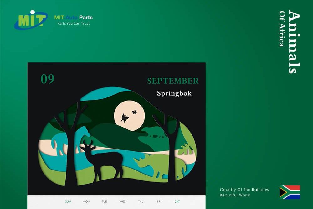 官網-MIT AUTO PARTS1000x687-06.jpg