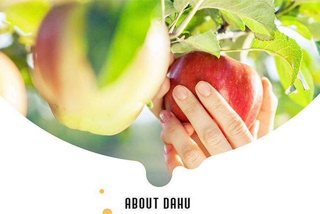 截圖 2020-12-22 上午11.42.39.jpg