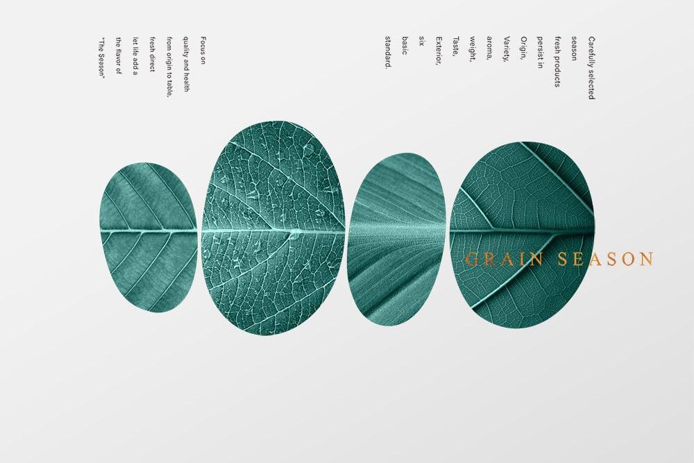 官網-農禾四季 01 拷貝.jpg