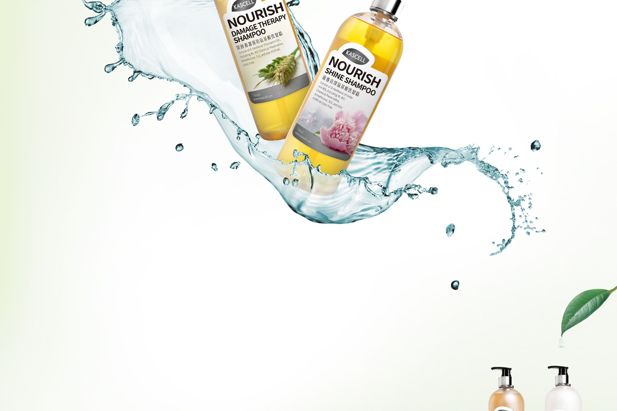 卡希爾洗髮精 大.jpg