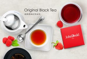 John Dodd Tea 時尚茶品牌官方網站設計